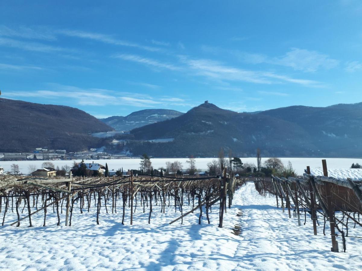 Weingut Weidlhof - Suite & Breakfast - Vacation For Wine Lovers Caldaro Extérieur photo