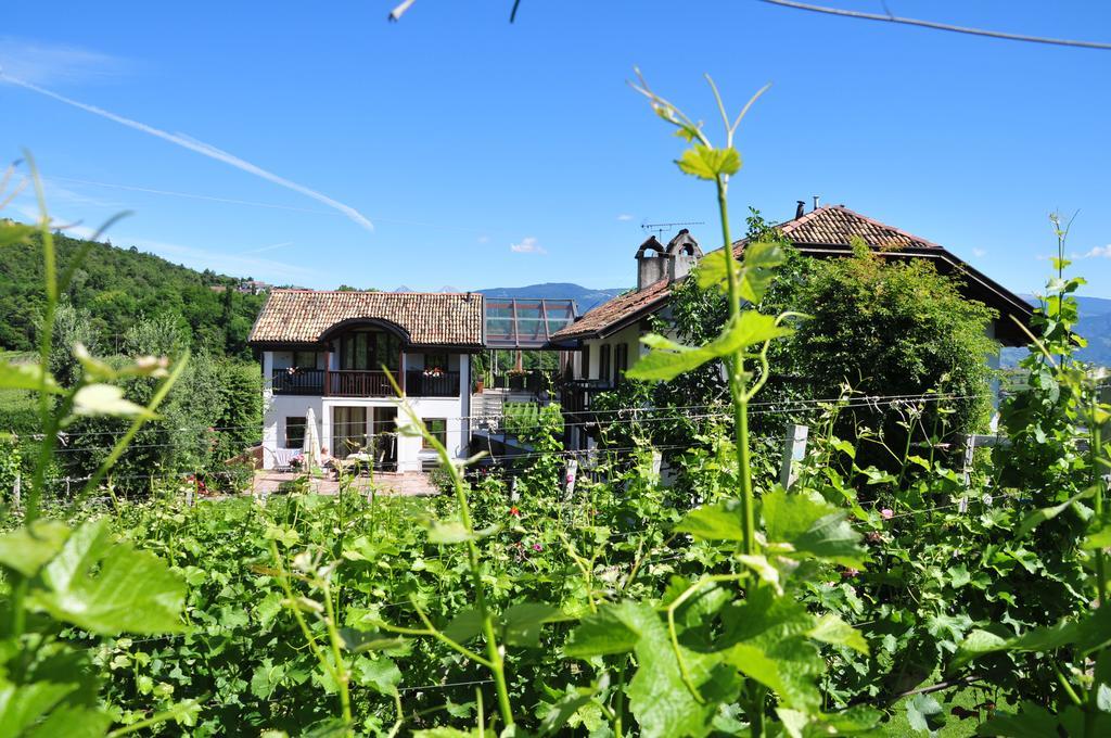 Weingut Weidlhof - Suite & Breakfast - Vacation For Wine Lovers Caldaro Extérieur photo